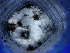IMG_20181206_194001.jpg