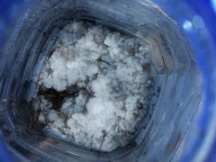 IMG_20181206_194016.jpg