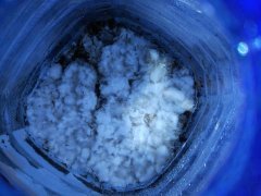 IMG_20181206_194029.jpg