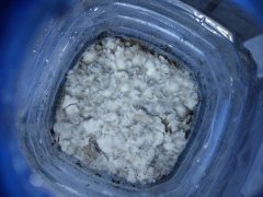 IMG_20181206_194051.jpg