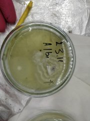 IMG_20181207_220309.jpg