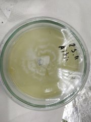 IMG_20181207_220313.jpg