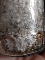 IMG_20181208_131951.jpg