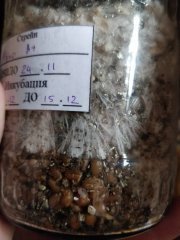 IMG_20181208_132040.jpg
