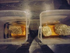 IMG_20181226_203427.jpg