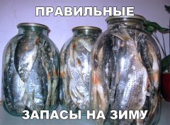 0A211CCA-6698-4D9E-9F7C-DBFF07F94EA7.jpeg