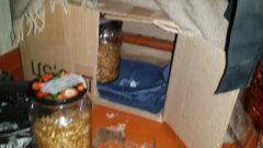 Деточки мои