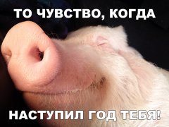 176827DF-B284-4206-B442-DE0196BBDE2F.jpeg