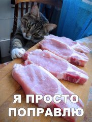 2A413364-2207-427C-9808-EEC88EE44236.jpeg