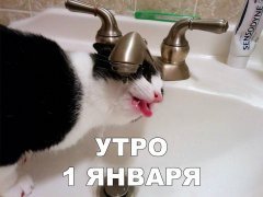 4D422736-8599-44AC-A374-FDC34A36927F.jpeg