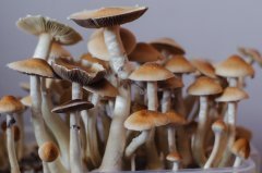 DSC_1497.jpg