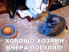 F31AF9C4-9CC2-4821-99C6-F3D818568E19.jpeg