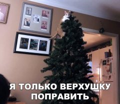 F519EC99-5E11-4FF0-887D-B514CF720309.jpeg