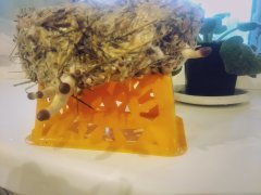 IMG_20190107_084933.jpg