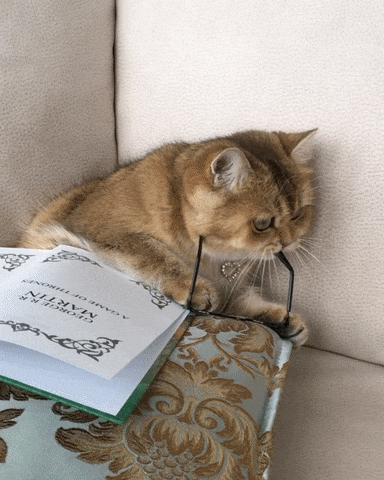 6786A1CF-E084-496A-BE17-82EBA9C4EBE9.gif