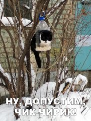 AD1BD3AD-43AA-4715-93E0-21867FF3FB33.jpeg