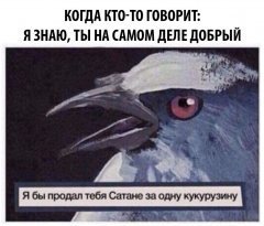 E292FC93-73B8-4892-BEF7-A859B3107B54.jpeg