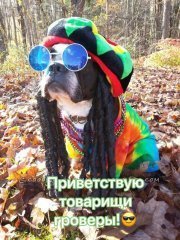 3EDFB311-051F-4C5E-9D00-EC2B0502A2AD.jpeg
