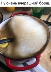 85D31D49-C613-49C5-A3DA-BC52FE2B34AD.jpeg