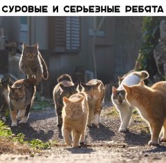 99986237-A9AF-457E-9FF0-4963B2F79274.jpeg