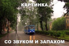 C0703D6A-F6FC-417D-B7FC-7A3AC2F9D70F.jpeg