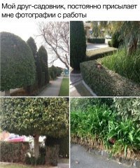 C5D5857A-B758-4BDA-9EB2-985F2367704E.jpeg