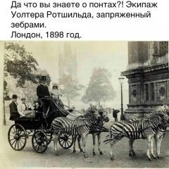 F33991CD-56C3-479C-AC74-6F392C36F2ED.jpeg