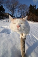 IMG_20190301_190730.jpg