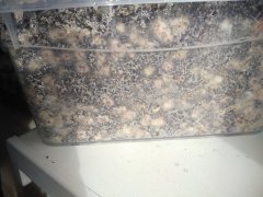 IMG_20190329_113737.jpg