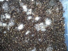 IMG_20190329_113752.jpg