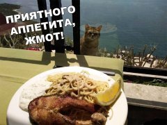 C0CC9459-B23B-4FDF-9F39-5EC54FA9FD7F.jpeg