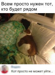 07A5A555-F8F6-4D33-95F3-D013AA54F668.jpeg