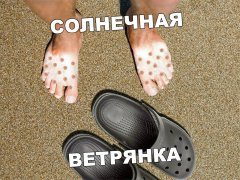 22978C57-BE2D-430F-B522-1B31A4BEF56A.jpeg