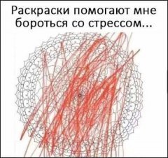 D53150C9-164F-43D6-9CD8-795260049AA3.jpeg