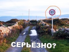 DBD7273D-3A3F-4A58-8C19-C18B3DB853F4.jpeg