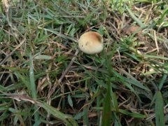 IMG_20190430_101226.jpg