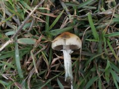 IMG_20190430_101301.jpg