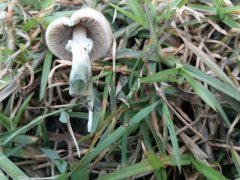 IMG_20190430_101309.jpg