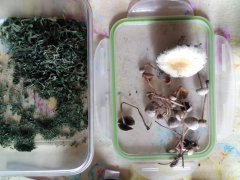 IMG_20190501_091059.jpg