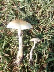 IMG_20190502_082501.jpg