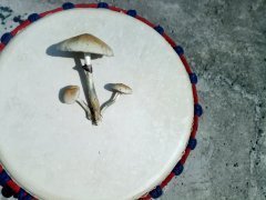 IMG_20190502_100224.jpg