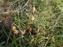 IMG_20190515_074737.jpg