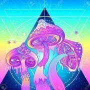 Альманах