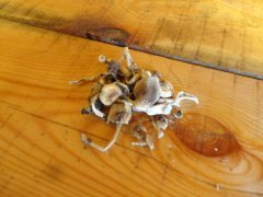 DSC01188.JPG