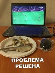 1EA5EE1B-1038-41FE-B850-4C0F9A13CF8F.jpeg
