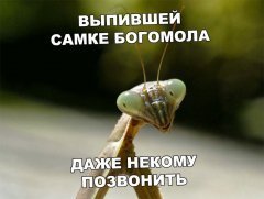 33F44374-9B75-432C-90E2-6D1651468626.jpeg
