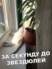 67D47605-B158-450F-AEFB-0FC108DDAD07.jpeg