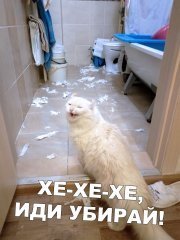 87B2472D-8B8E-4C51-90F2-34BB10C23E65.jpeg