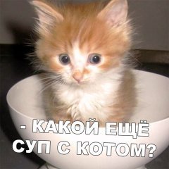 A09E9323-25C5-446A-B3A3-41C7609014EE.jpeg