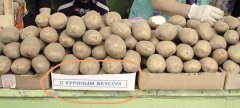 D577ED9C-C17D-4B03-91EE-6A4EF7EC8123.jpeg